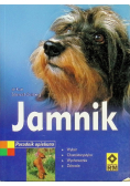 Jamnik Poradnik opiekuna