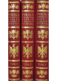Polska jej dzieje i kultura od czasów najdawniejszych aż do chwili obecnej 1927 - 1930 Tom 1 do 3