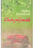Chata pod jemiołą