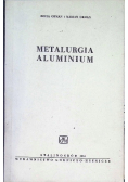 Metalurgia aluminium