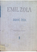 Radość życia