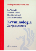 Kryminologia. Zarys systemu