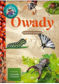 Młody Obserwator Przyrody Owady