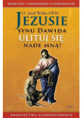 Jezusie synu Dawida ulituj się nade mną