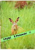 Zając