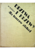 Drzewa i krzewy dla terenów zieleni