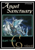 Angel Sanctuary Tom 6