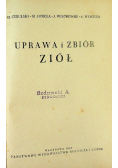 Uprawa i zbiór ziół