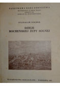 Dzieje Bocheńskiej Żupy Solnej