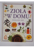 Zioła w domu