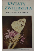 Kwiaty i zwierzęta