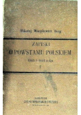 Zapiski o powstaniu Polskiem 1863 i 1864 roku Tom I, 1898 r.