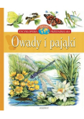Owady i pająki