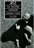 Na pastwę aniołów
