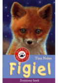 Figiel zraniony lisek