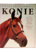 Wielka encyklopedia Konie Przewodnik po świecie koni