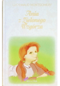 Ania z zielonego wzgórza