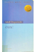 Zając