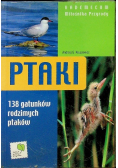Ptaki  Vademecum Miłośnika Przyrody