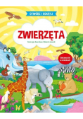 Otwórz i odkryj Zwierzęta