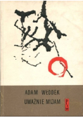 Uważnie Mijam