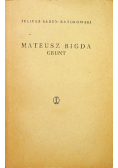Mateusz Bigda. Grunt