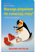 Dlaczego pingwinom nie zamarzają stopy?