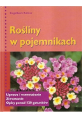 Rośliny w pojemnikach