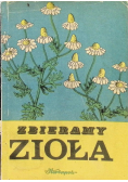 Zbieramy zioła