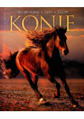 Konie Pochodzenie rasy cechy