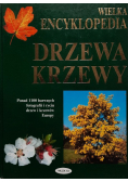 Wielka encyklopedia. Drzewa, krzewy