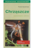 Chrząszcze