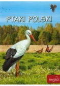 Ptaki Polski