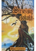 Strzeż się sokoła