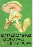 Amatorska uprawa grzybów