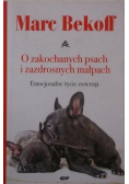 O zakochanych psach i zazdrosnych małpach