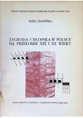 Zagroda chłopska w Polsce na przełomie XIX i XX wieku
