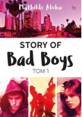 Story of Bad Boys Tom 1