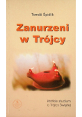 Zanurzeni w Trójcy