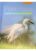 Encyklopedia ilustrowana. Ptaki Polski