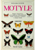 Kolekcjoner Motyle