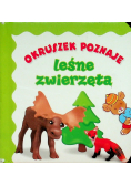 Okruszek poznaje leśne zwierzęta