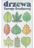 Drzewa Europy Środkowej