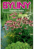 Byliny