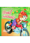 Uciekł niedźwiedź!