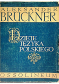 Dzieje języka polskiego