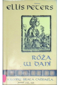 Róża w Dani