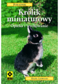 Królik miniaturowy opieka i wychowanie