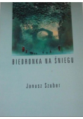 Biedronka na śniegu