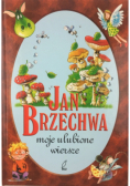 Moje ulubione wiersze